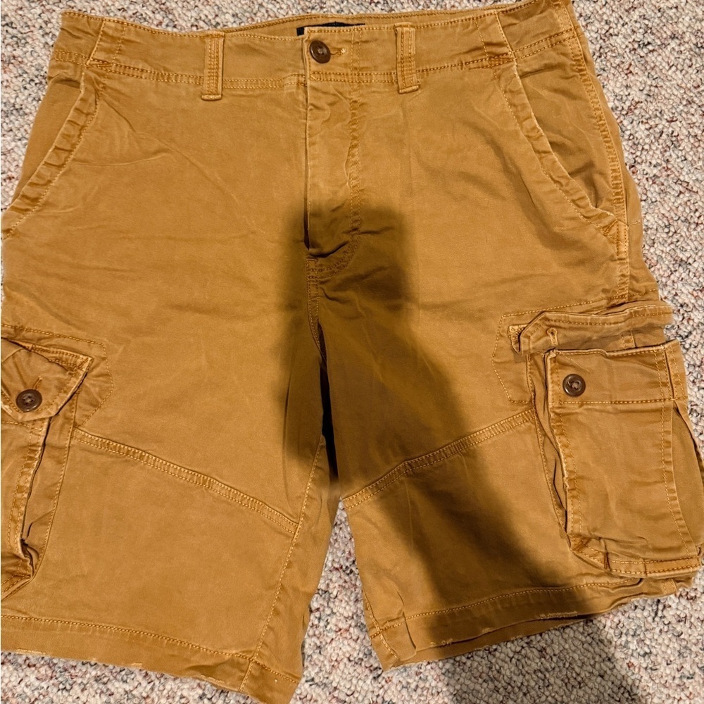 American Eagle Outfitters Men's Brown Cargo Shorts